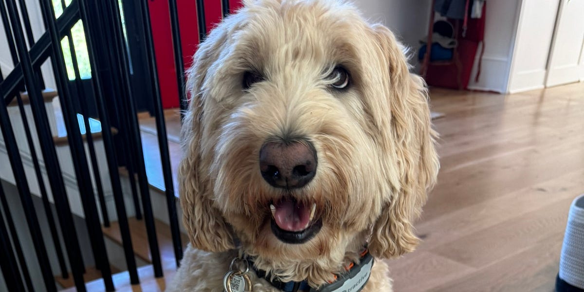 人工智能加速重塑社会治理体系