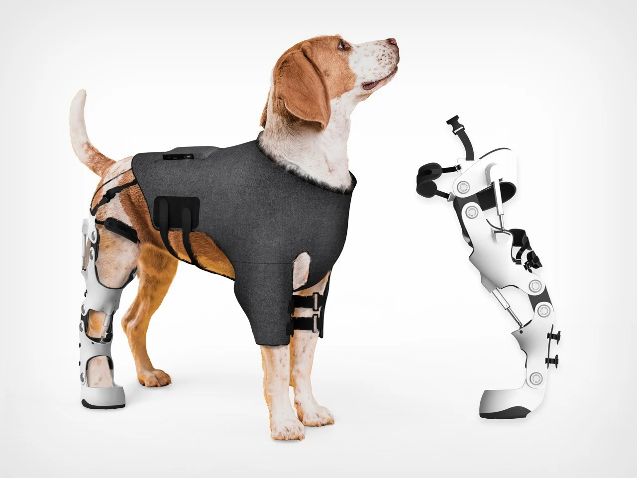智能宠物外骨骼助伤犬自主重学行走