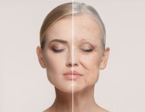 AI 驱动的发现揭示了 TNIK 抑制作为抗衰老策略