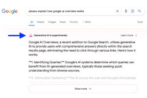 你能相信 Google 的 AI 概述吗？