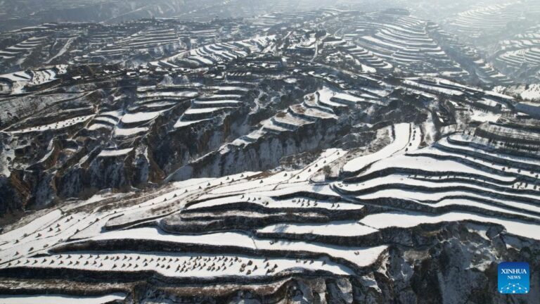 中国甘肃梯田的雪景
