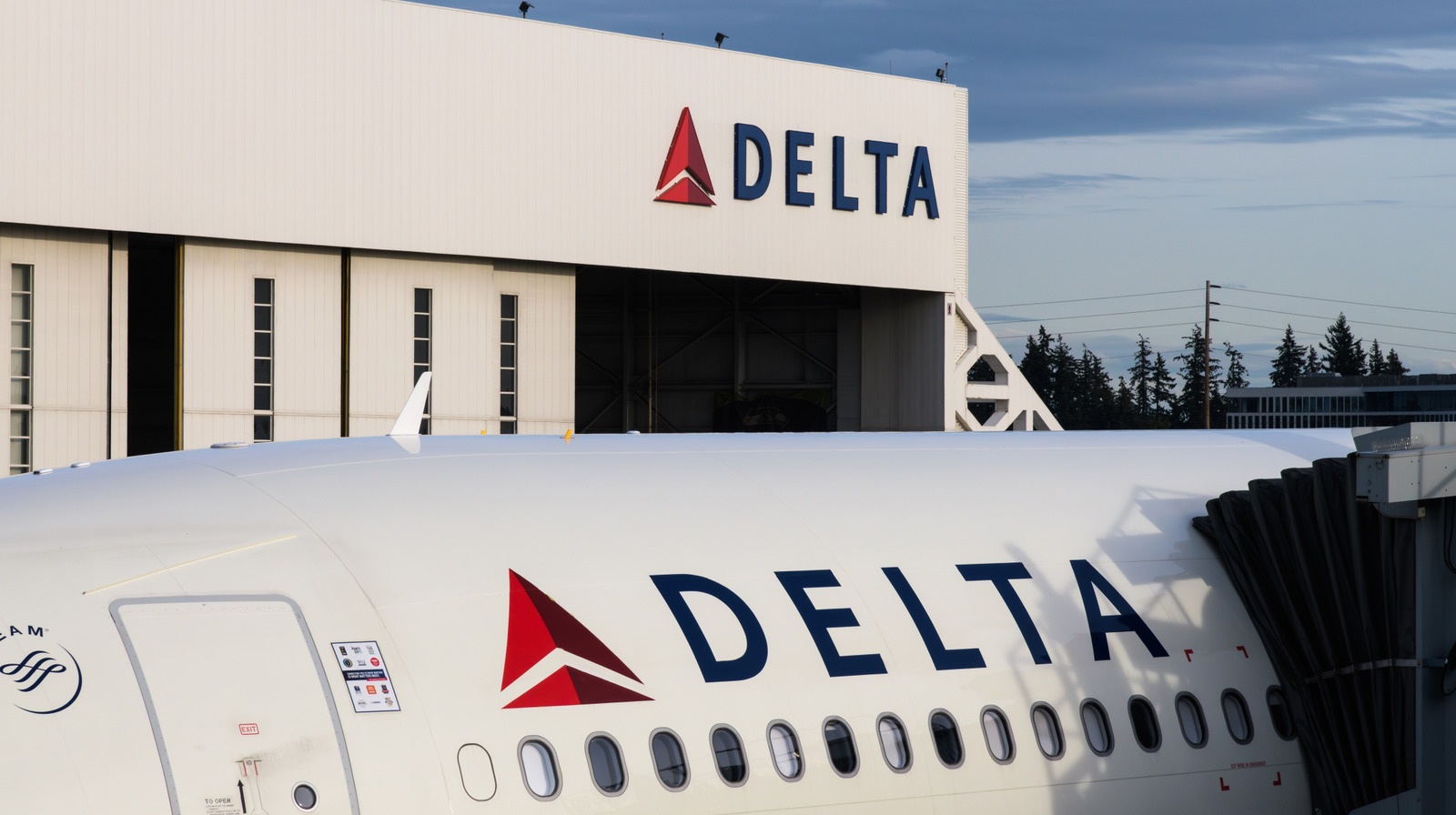 如何将 TSA PreCheck 添加到 Delta 应用程序