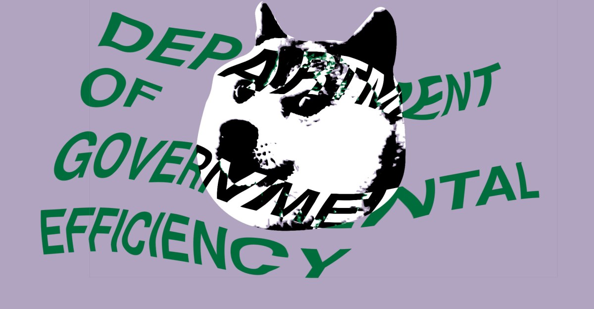 DOGE 正试图访问美国国税局关于数百万纳税人的数据