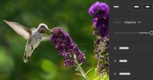Adobe Lightroom 和 Camera Raw 将获得两项新的 AI 编辑功能