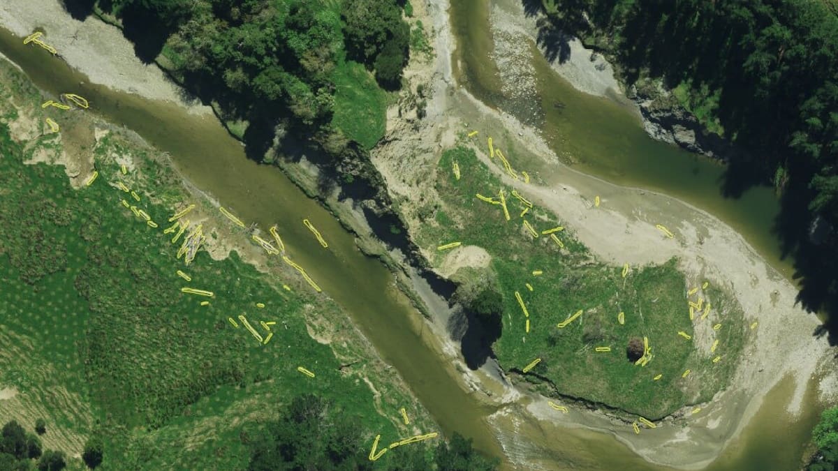 用于帮助解决 Gisborne 的木质碎片问题的 AI 工具