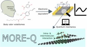 More-Q，量子力学的分子嗅觉受体工程数据集