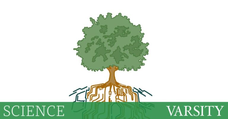 “总结这篇文章”