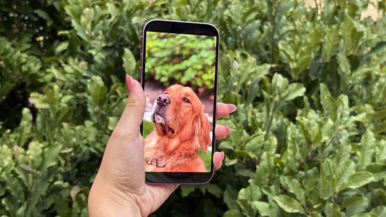 iPhone 17 终于可以在 iPhone 16 的基础上进行显示屏升级