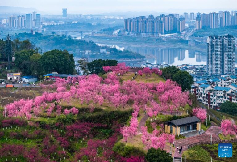中国各地的春景