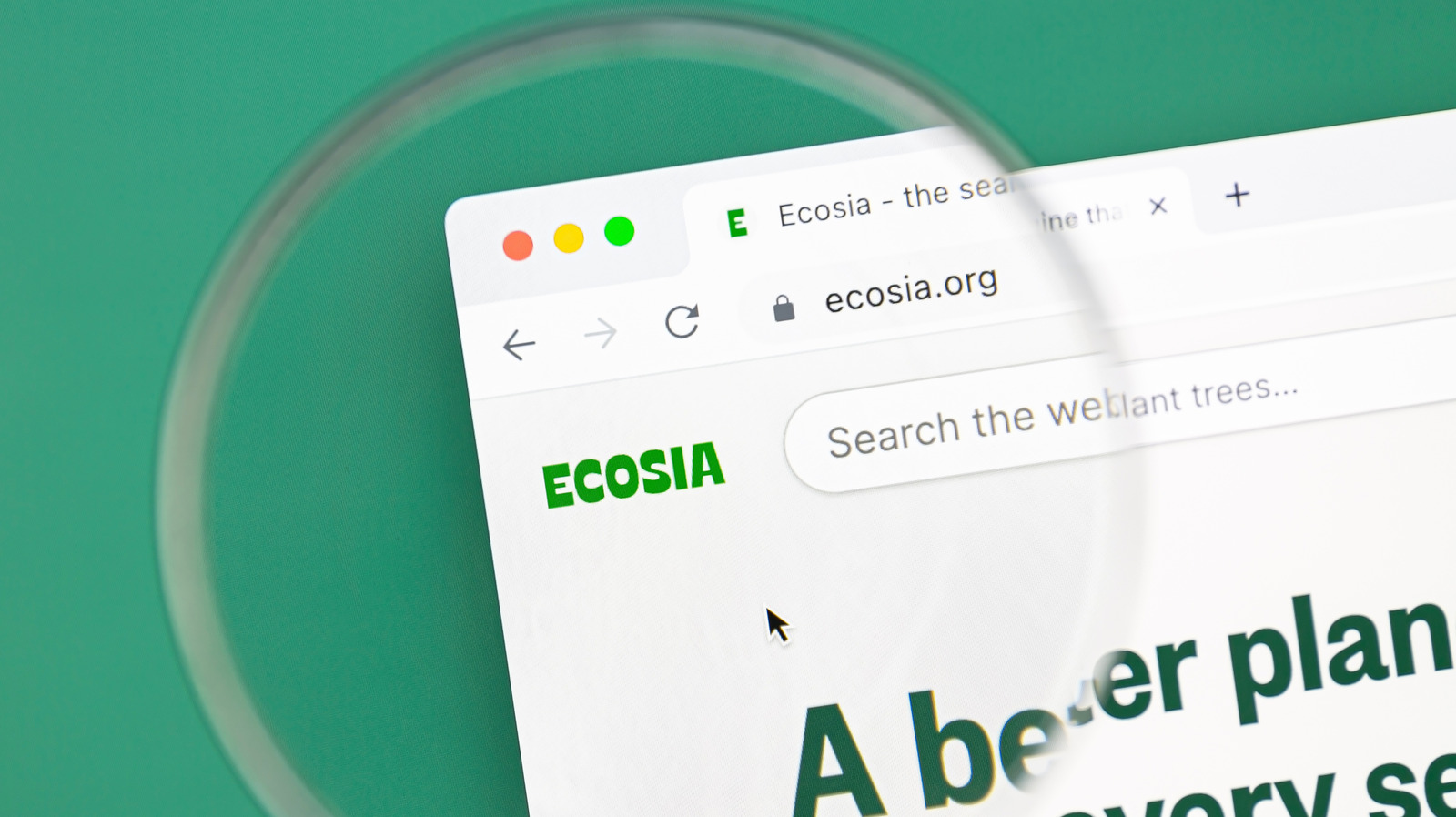 Ecosia：谁拥有非营利搜索引擎以及他们如何赚钱