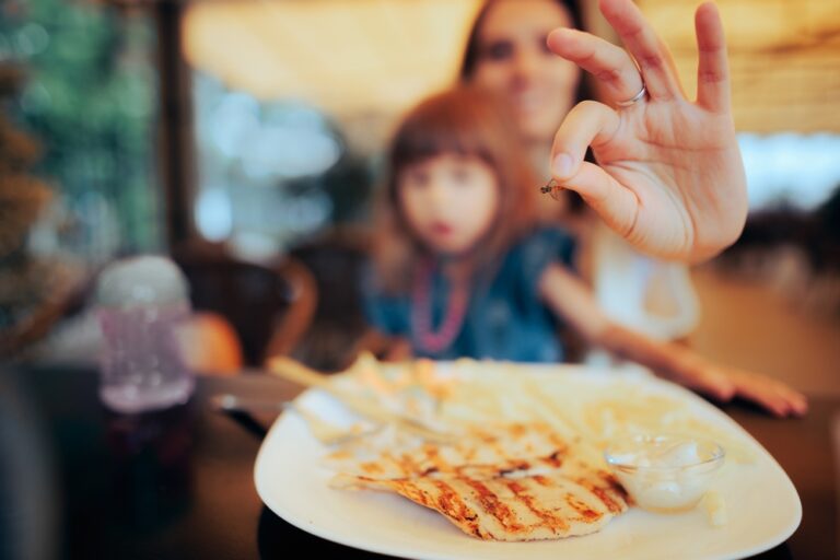 新的 AI 害虫监测系统针对代价高昂的食品污染风险