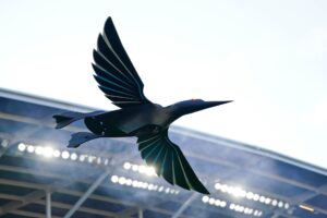 NFL、MLB、NCAA、NASCAR 支持无人机打击法案