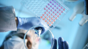 22 个州起诉阻止新的 NIH 资助政策