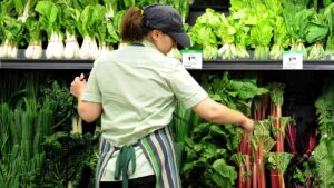 Woolworths 员工将被解雇，因为这家超市巨头试图削减重组成本