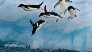 每个新用户都应该学习的前 5 个 Linux 命令