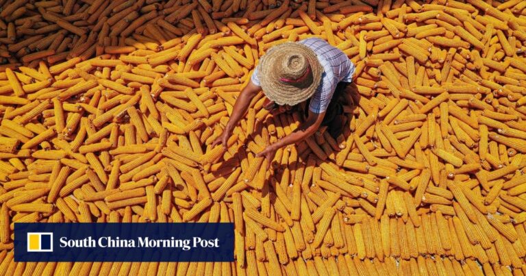 中国大胆的新农业计划将人工智能、生物技术和种子置于推动自给自足的背后