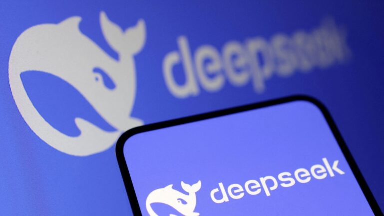 看见硅 |DeepSeek 使 AI 领域大众化。现在怎么办？