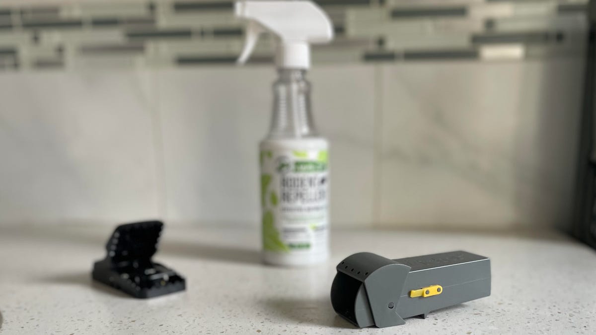 薄荷喷雾可以让老鼠远离吗？