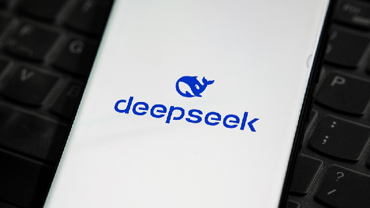 Catalyst DeepSeek：颠覆行业的中国人工智能初创公司