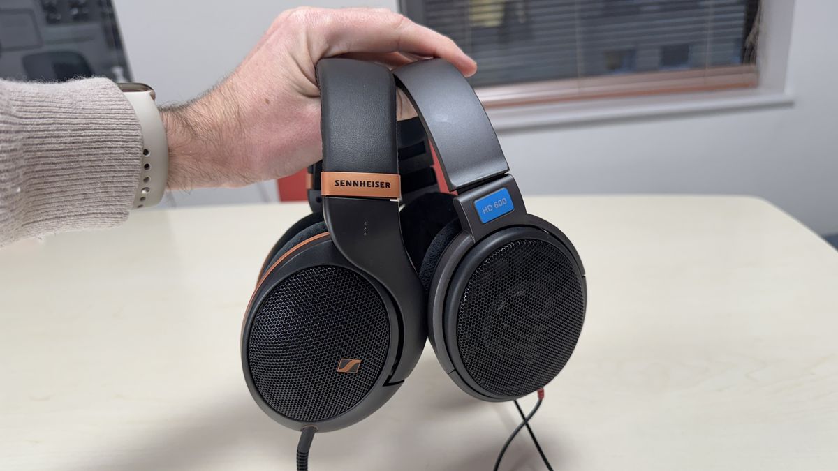 Sennheiser 的 HD 505 入门级耳机就在这里，我将它们与 HD 600 进行了比较