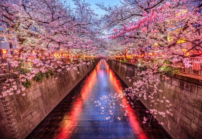 春天开始行动：ProWine Tokyo 2025 的期待