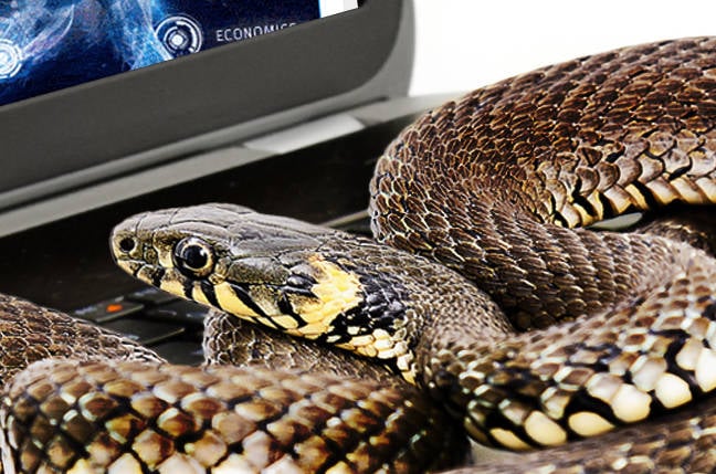 Snake 键盘记录器滑入 Windows，通过 AutoIt 编译的有效负载逃避检测