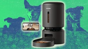 每个宠物主人都需要的 8 个智能家居小工具