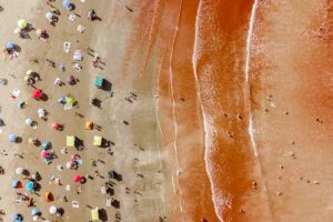 热门照片：Reddish 海滩、AI 机器人手等