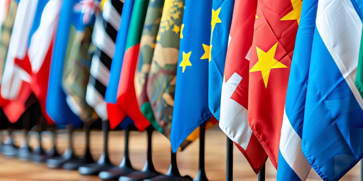 国家公民法的兴起如何构建现代国家