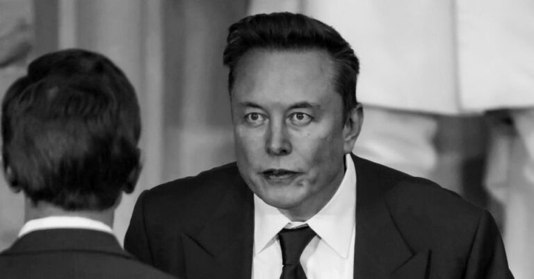 帮助建立埃隆·马斯克 （Elon Musk） 的 Doge Army 的招募工作