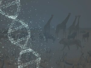 NVIDIA BioNeMo 推出 Evo 2：用于跨物种生物分子研究的大型 AI 基础模型