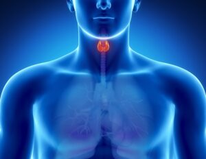 新的 3D 组织成像技术增强了甲状腺肿瘤分析