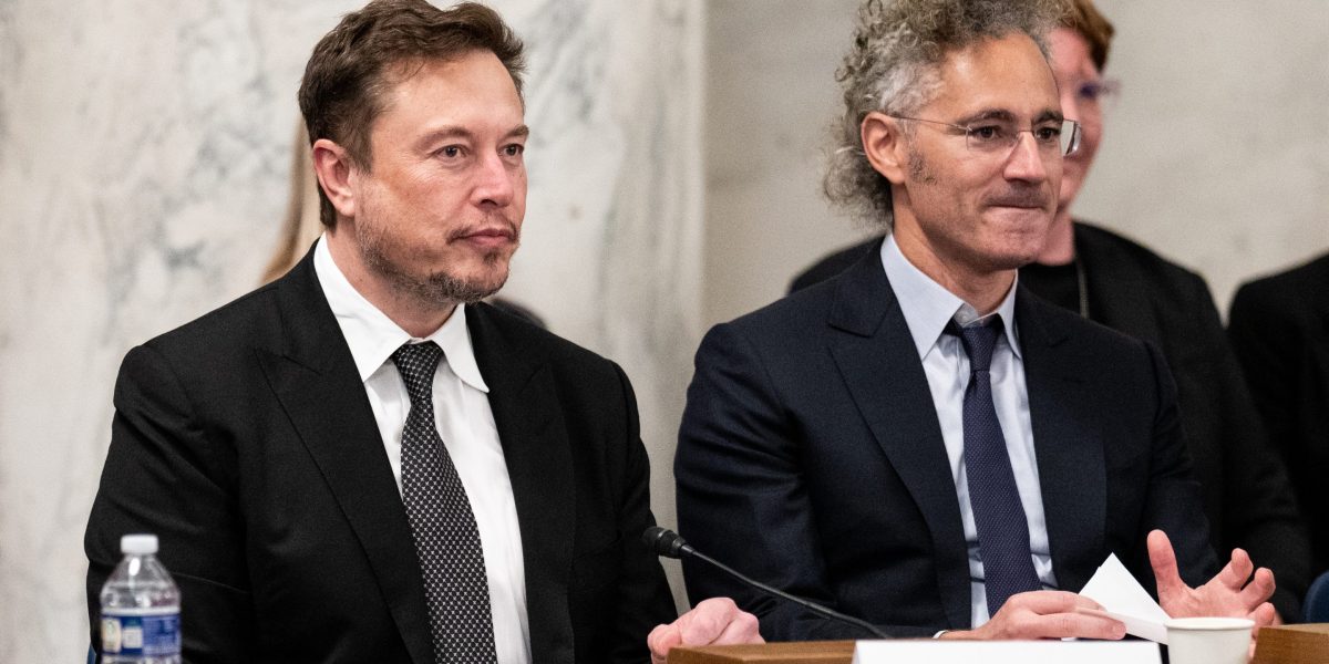 Palantir 可能是 DOGE 时代的选股者，因为它引领了 AI 革命，而马斯克则通过政府机构进行耕耘