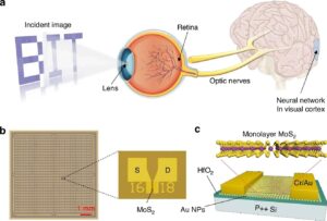 AI 突破：Synaptic Device Array 实现类人视觉处理