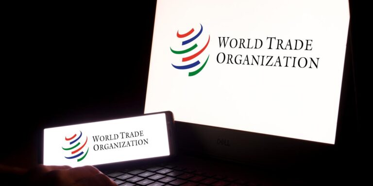 修复 WTO 等国际组织。废除他们。