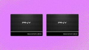 在春季大促销期间，在亚马逊以 1 美元的价格获得 500TB 和 500GB PNY CS80 内部 SSD
