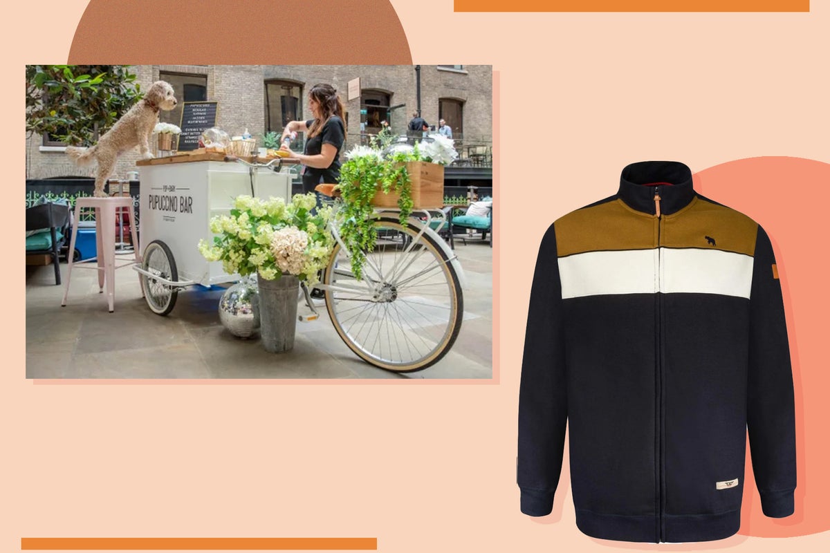 Dragons’ Den：Big Clothing 4 U、JustLend、Pop + Bark 和 Bedstretch