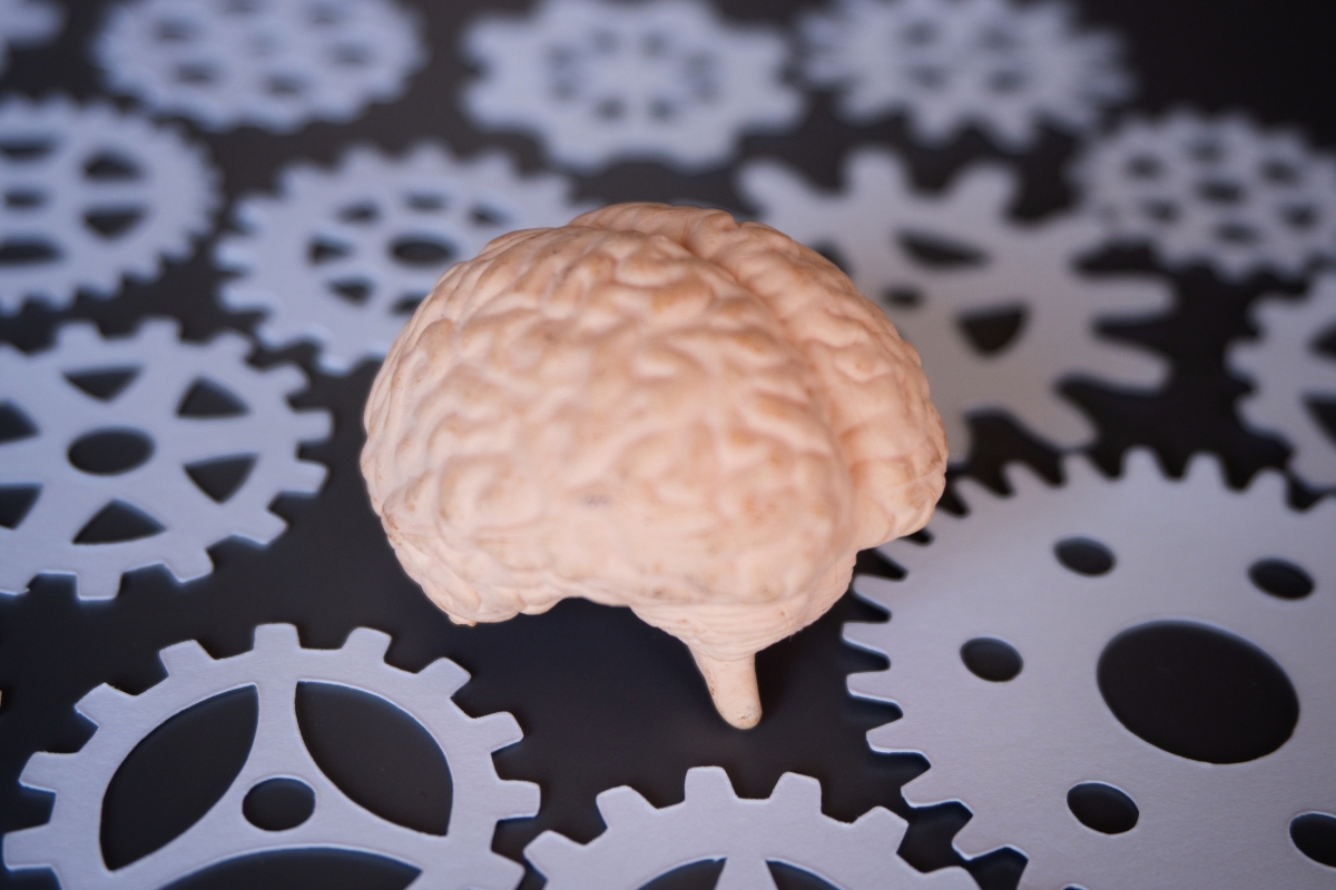 AI 让你变得懒惰和愚蠢——如果你听之不见