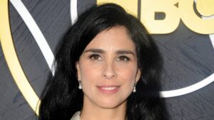 莎拉·西尔弗曼 （Sarah Silverman） 的 Meta 版权诉讼取得进展，法官允许作者的 DMCA 索赔