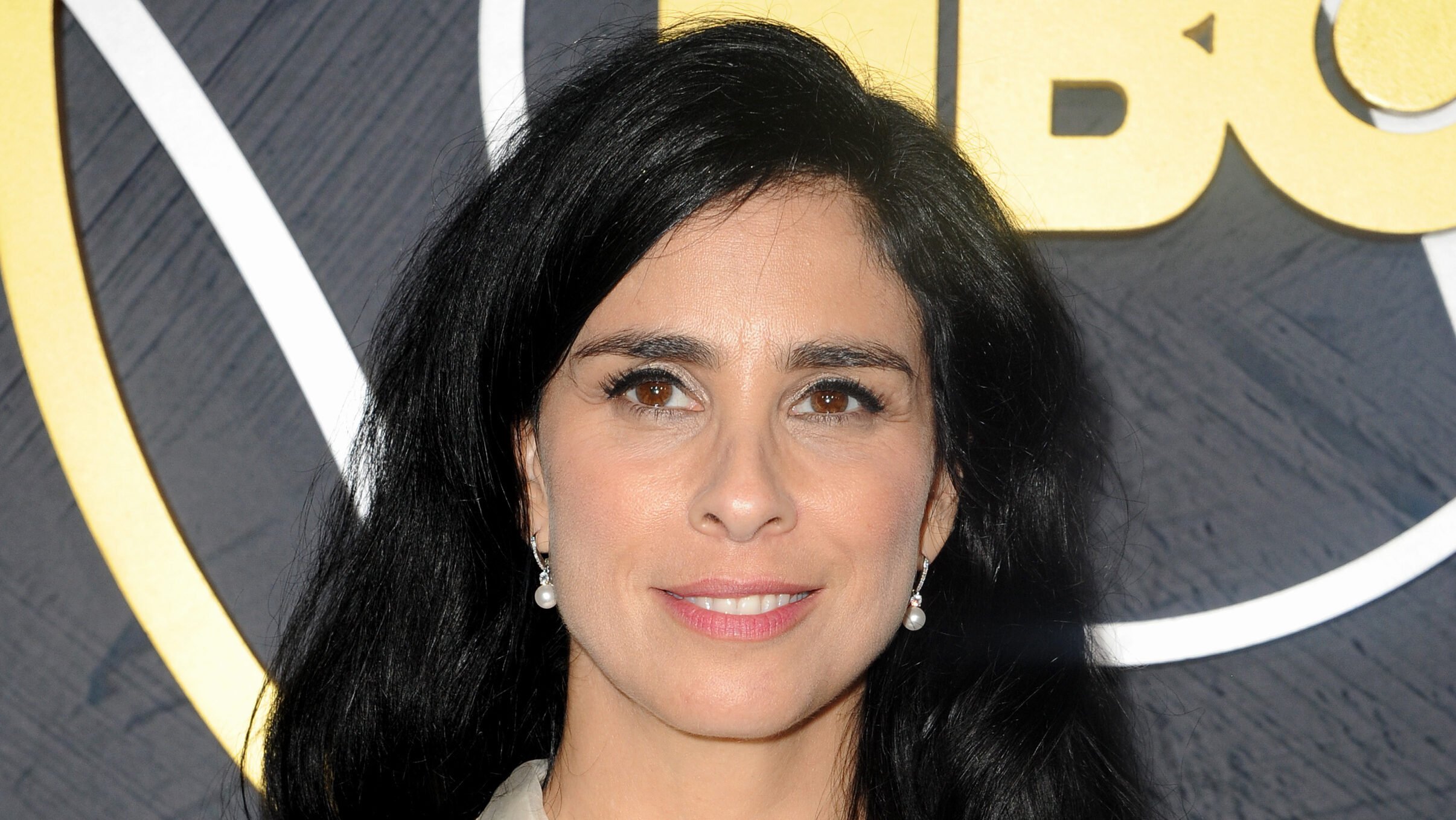 莎拉·西尔弗曼 （Sarah Silverman） 的 Meta 版权诉讼取得进展，法官允许作者的 DMCA 索赔
