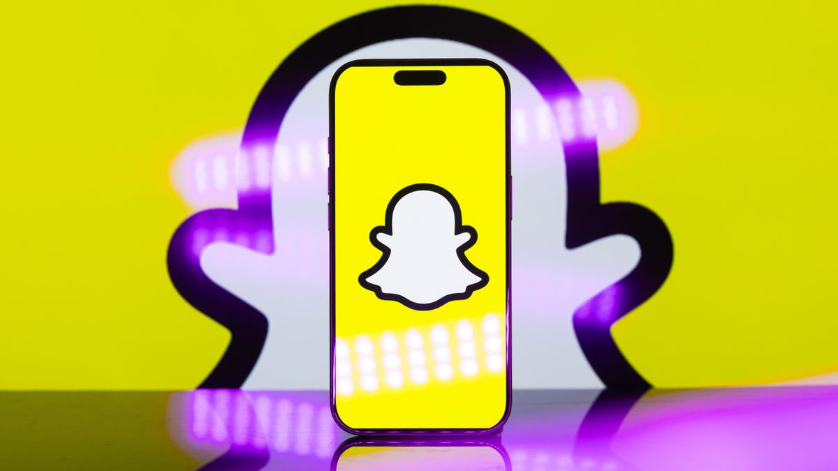 Snapchat 的新 AI 视频滤镜增加了狐狸和花朵