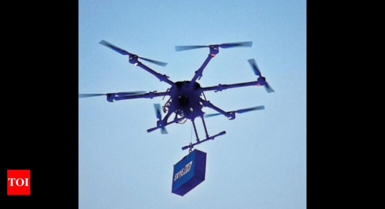 班加罗尔将获得药品、杂货等的超快速无人机送货服务