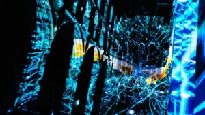 为什么我们应该像训练人类一样训练我们的 AI 代理？