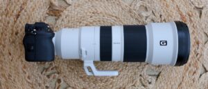 索尼 FE 400-800mm F6.3-8 G OSS 评测：用于野生动物摄影的出色长焦变焦