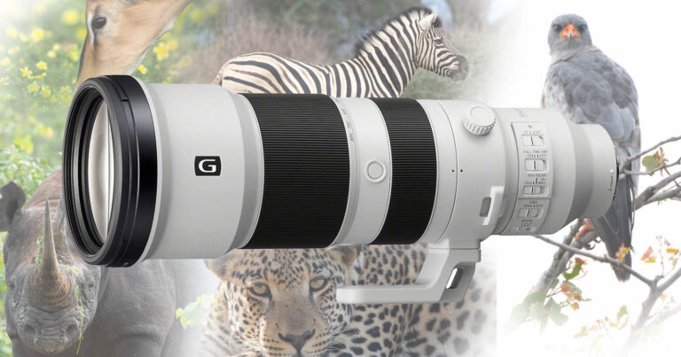 在纳米比亚对新款索尼 400-800mm f/6.3-8 G 进行现场测试