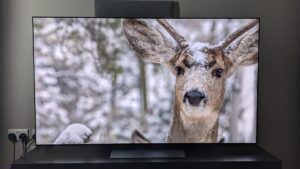 LG C5 OLED 电视评测：已经有望成为 2025 年最好的电视之一