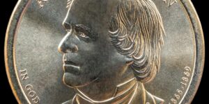 安德鲁·约翰逊 （Andrew Johnson） 与保护主义者的混战