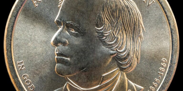 安德鲁·约翰逊 （Andrew Johnson） 与保护主义者的混战