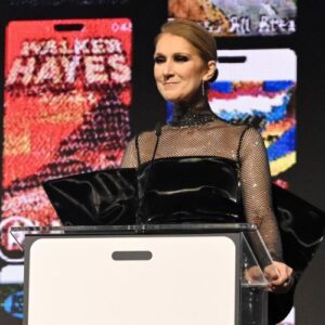 席琳·迪翁 （Celine Dion） 警告不要在网上播放“假”AI 歌曲