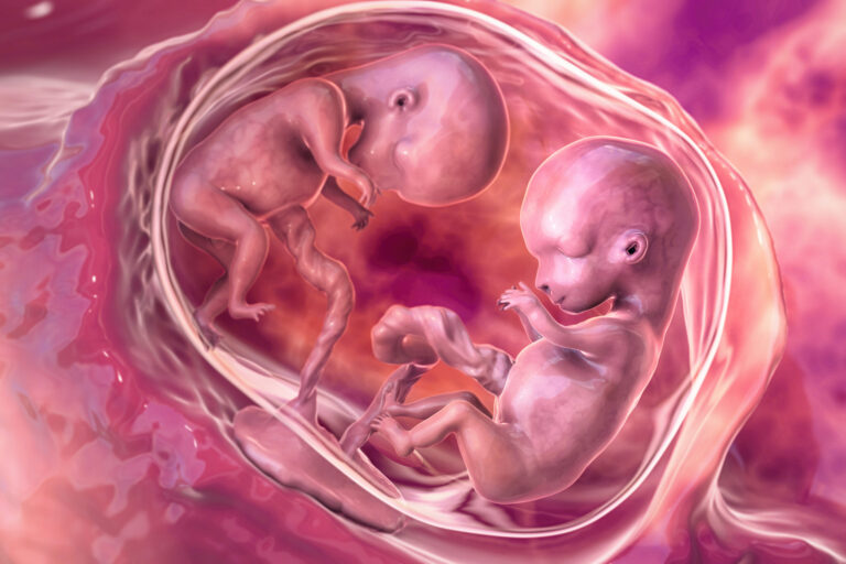 研究人员问：孩子出生前什么时候有意识？